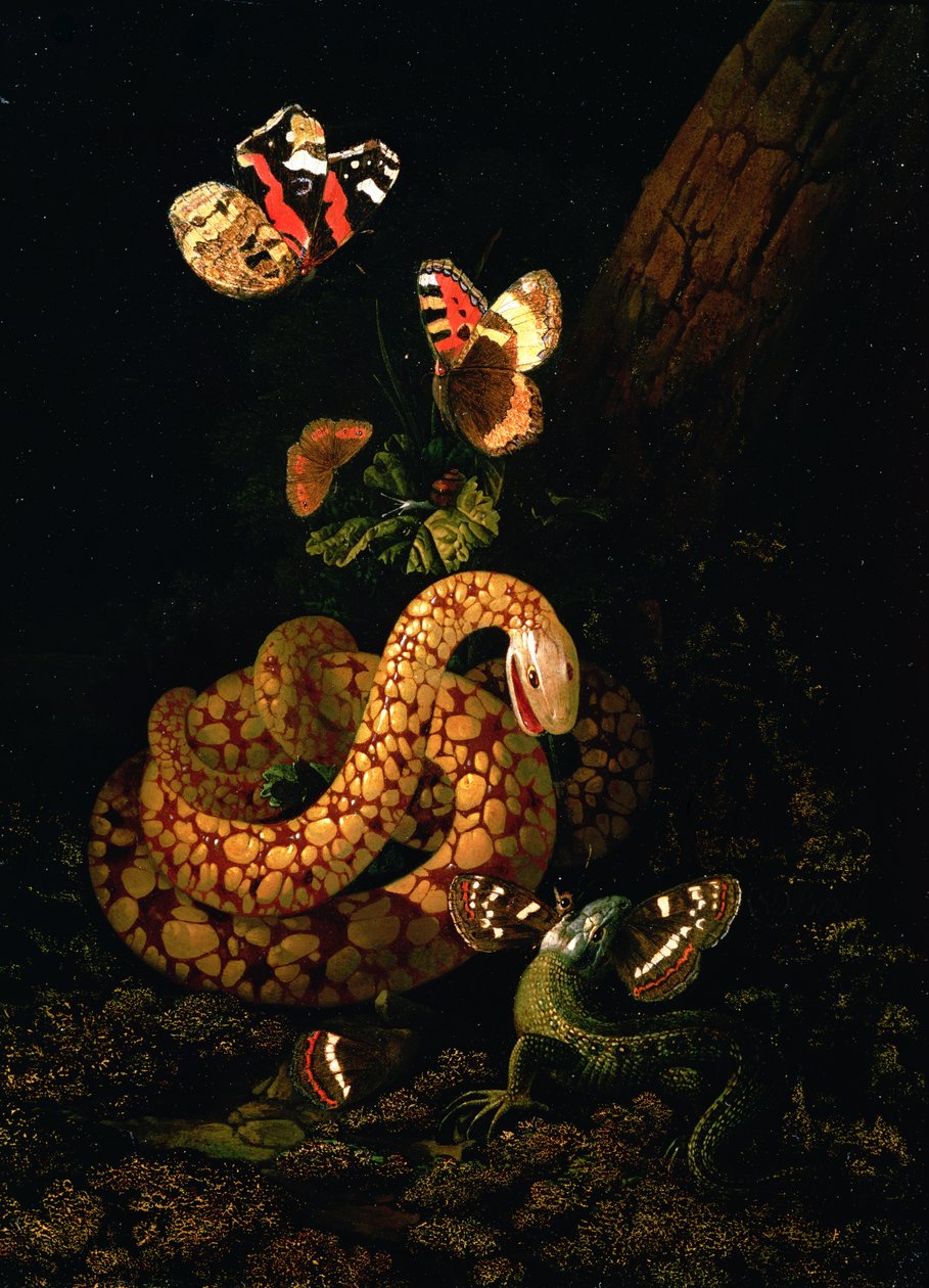 Csendélet kígyóval alkotó: Elias van den Broeck