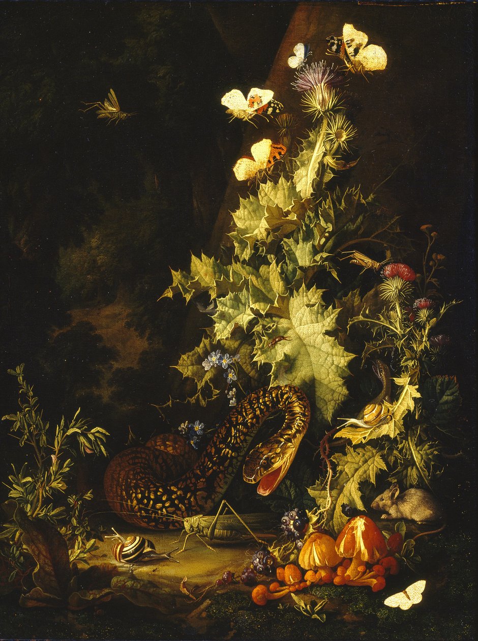 Csendélet kígyóval alkotó: Elias van den Broeck