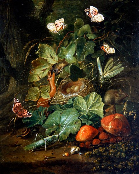 Erdőtalaj csendélet gyümölcsökkel és pillangókkal (olaj a panelen) alkotó: Elias van den Broeck