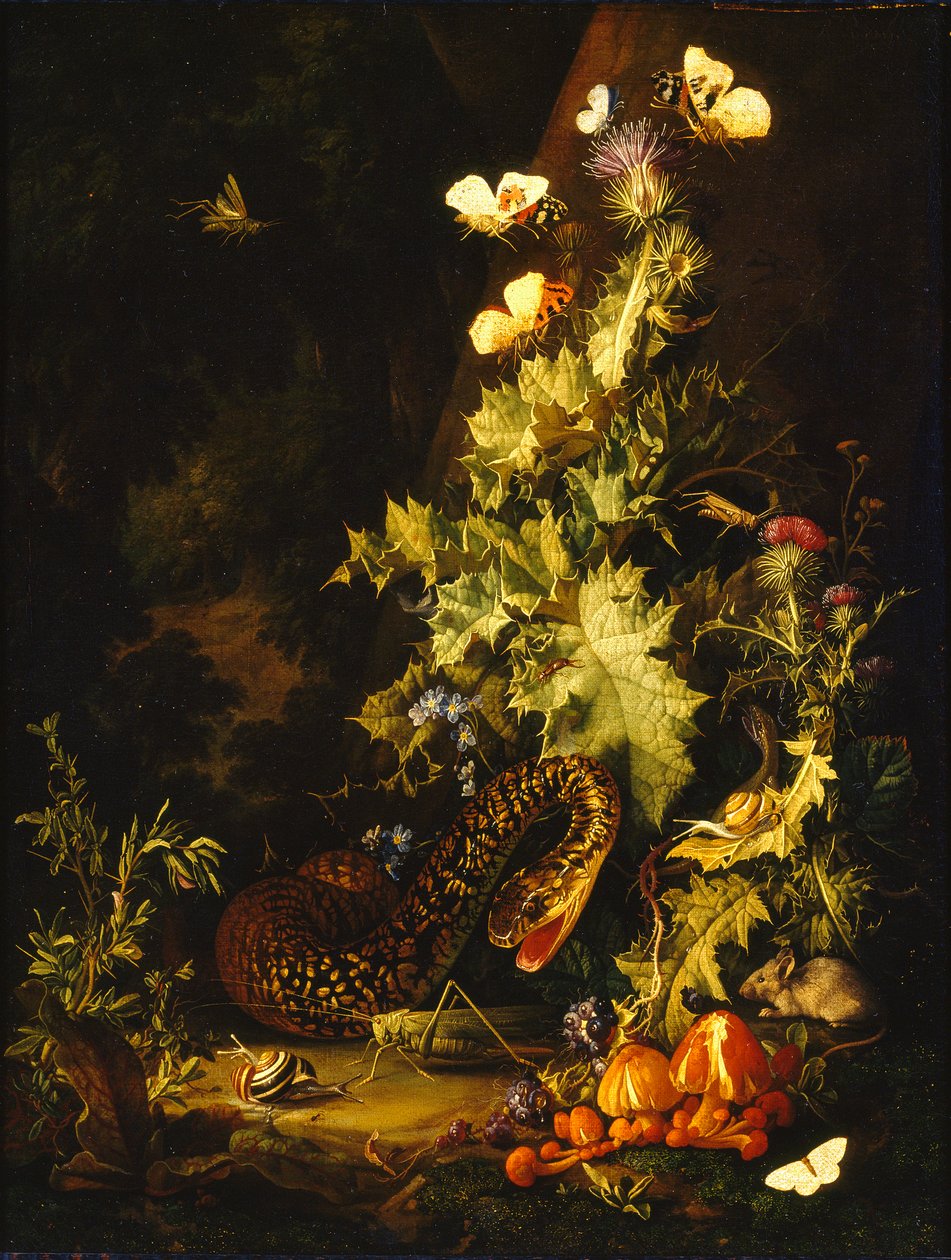 Csendélet kígyóval, 18. század eleje alkotó: Elias van den Broeck