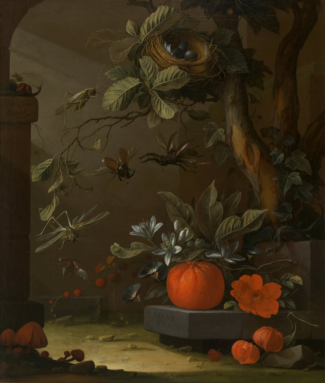 Vivat Rex alkotó: Elias van den Broeck