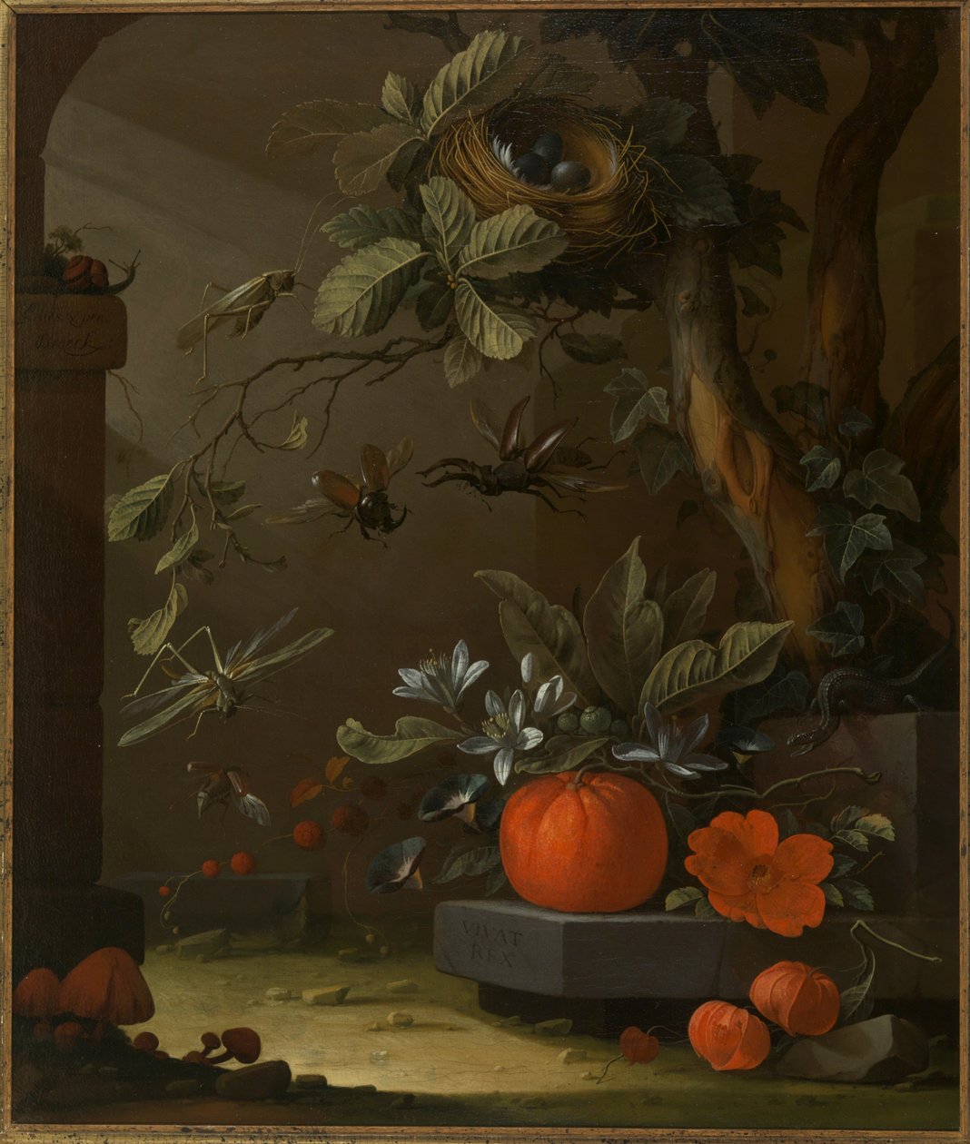 Vivat Rex alkotó: Elias van den Broeck