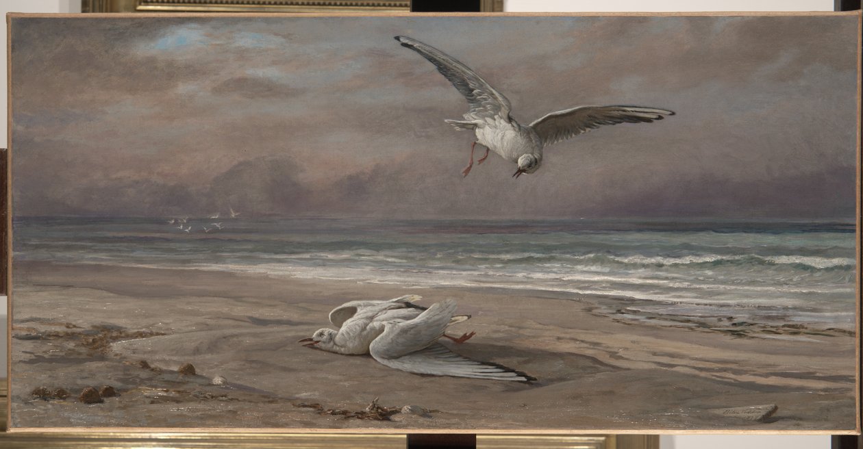 A haldokló tengeri sirály, 1879 alkotó: Elihu Vedder