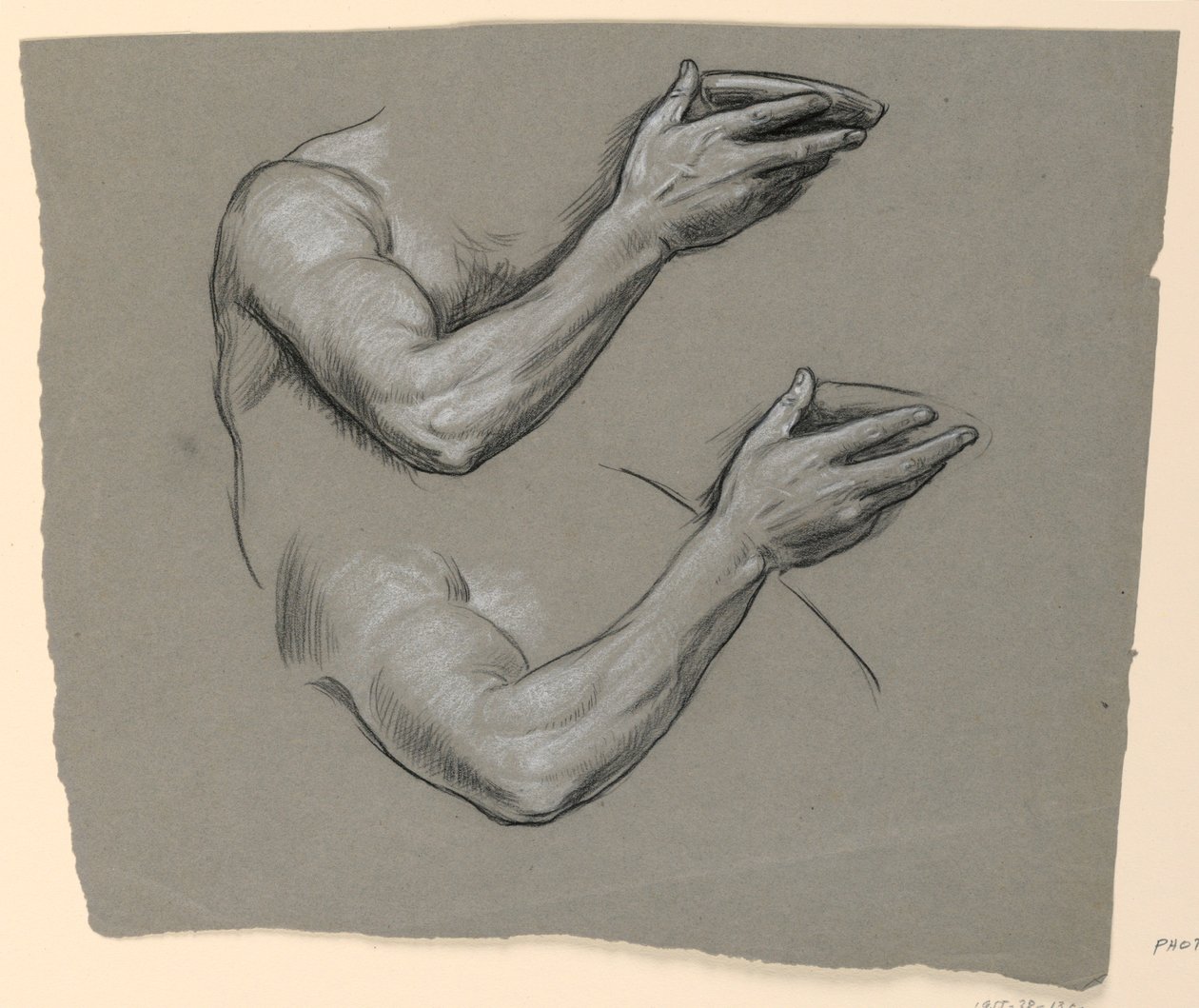 Rajz, Két férfikar részletei, 1885 körül. alkotó: Elihu Vedder