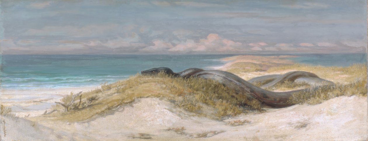 Tengeri kígyó-barlang alkotó: Elihu Vedder