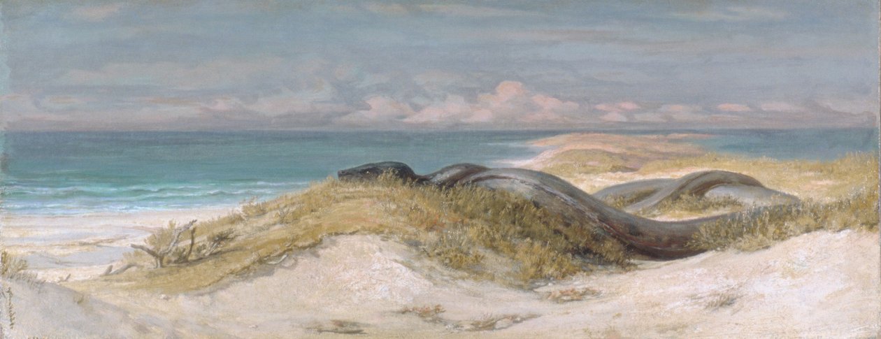A tengeri kígyó búvóhelye alkotó: Elihu Vedder