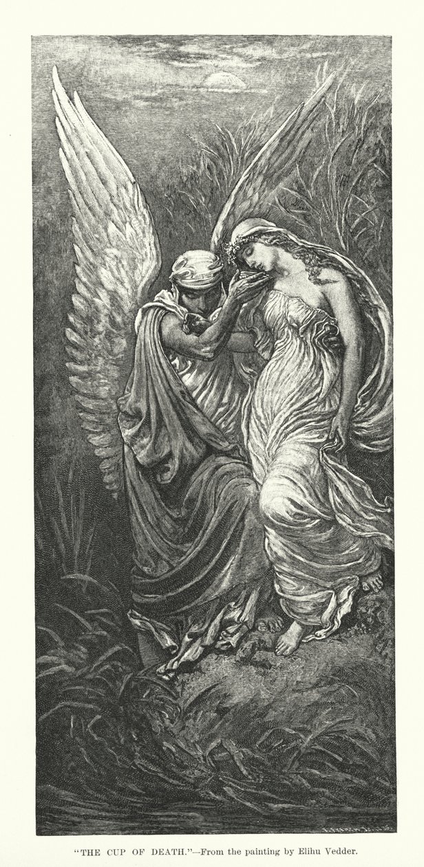  alkotó: Elihu Vedder