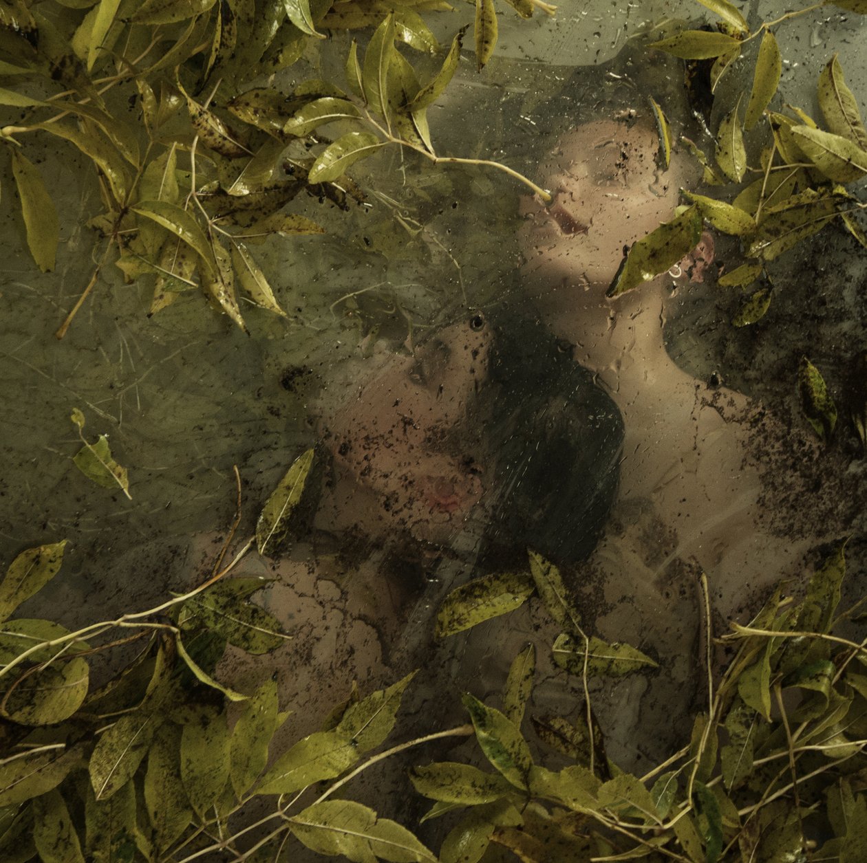 Hidden in paradise, 2015 (szitanyomat) alkotó: Elinleticia Högabo