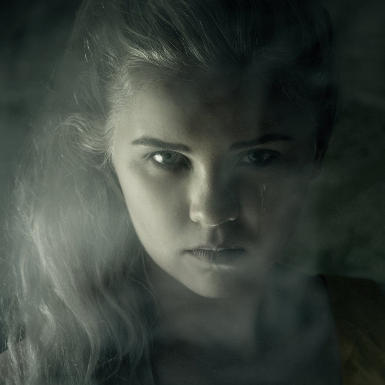 A grófnő, 2015 (szitanyomat) alkotó: Elinleticia Högabo