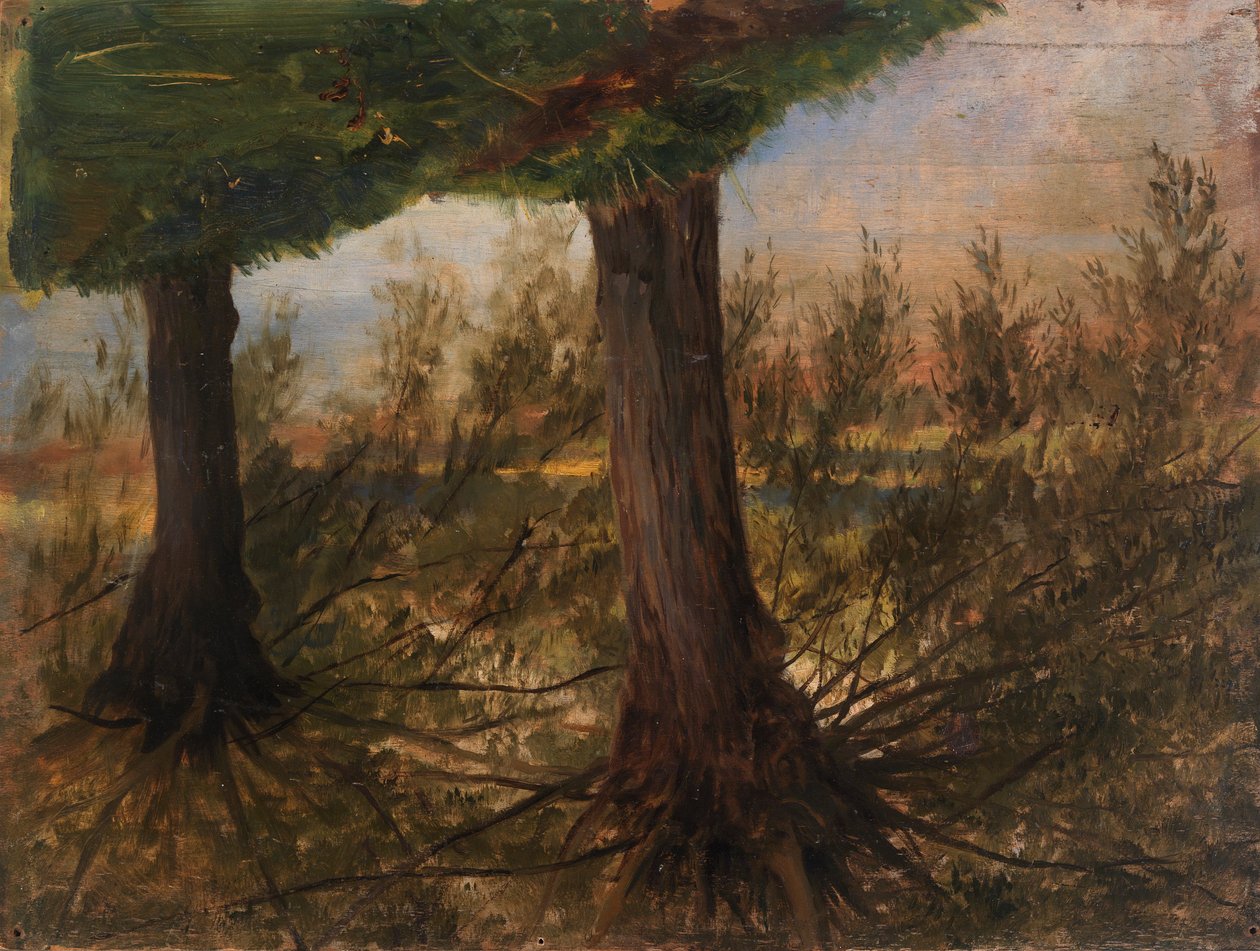 Fák a patak mellett, 19. század vége – 20. század eleje. alkotó: Eliphalet Frazer Andrews