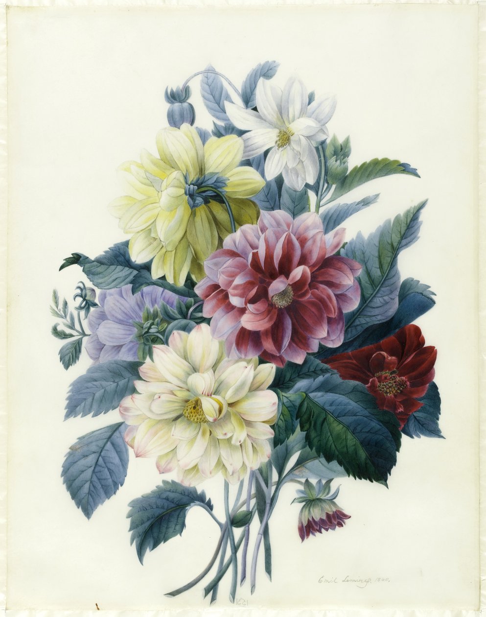 Vegyes dáliák, 1840 (wc és testszín pergamen) alkotó: Elisa Emilie Lemire