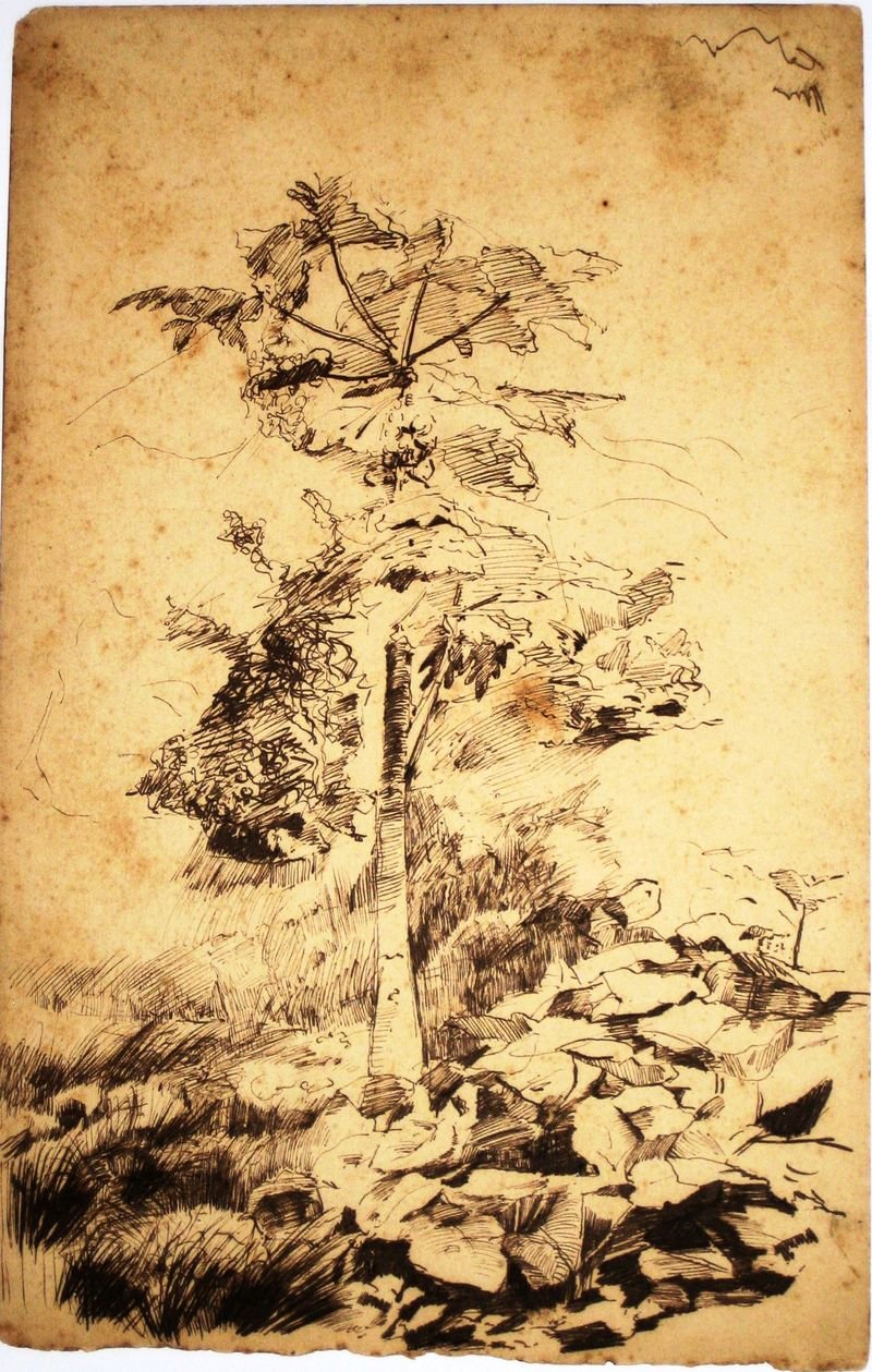 Papaya fa alkotó: Eliseu Visconti