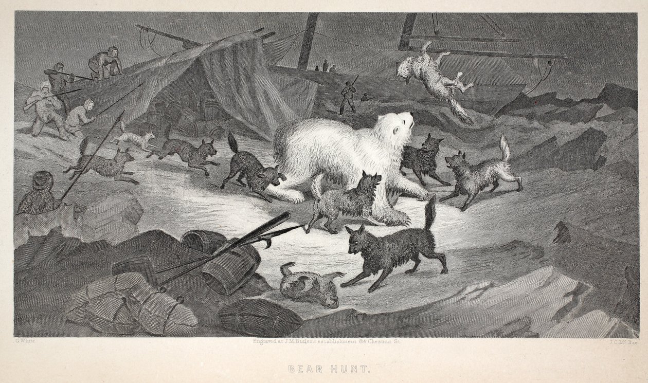 Medvevadászat, illusztráció a "The second Grinnell Expedition in Search of Sir John Franklin..." (A második Grinnell-expedíció Sir John Franklin keresésére...), 1856. alkotó: Elisha Kane