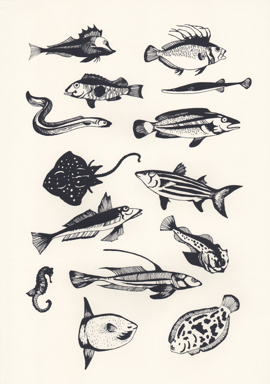 Monotone Plain Fish, 2015 (szitanyomás) alkotó: Eliza Southwood