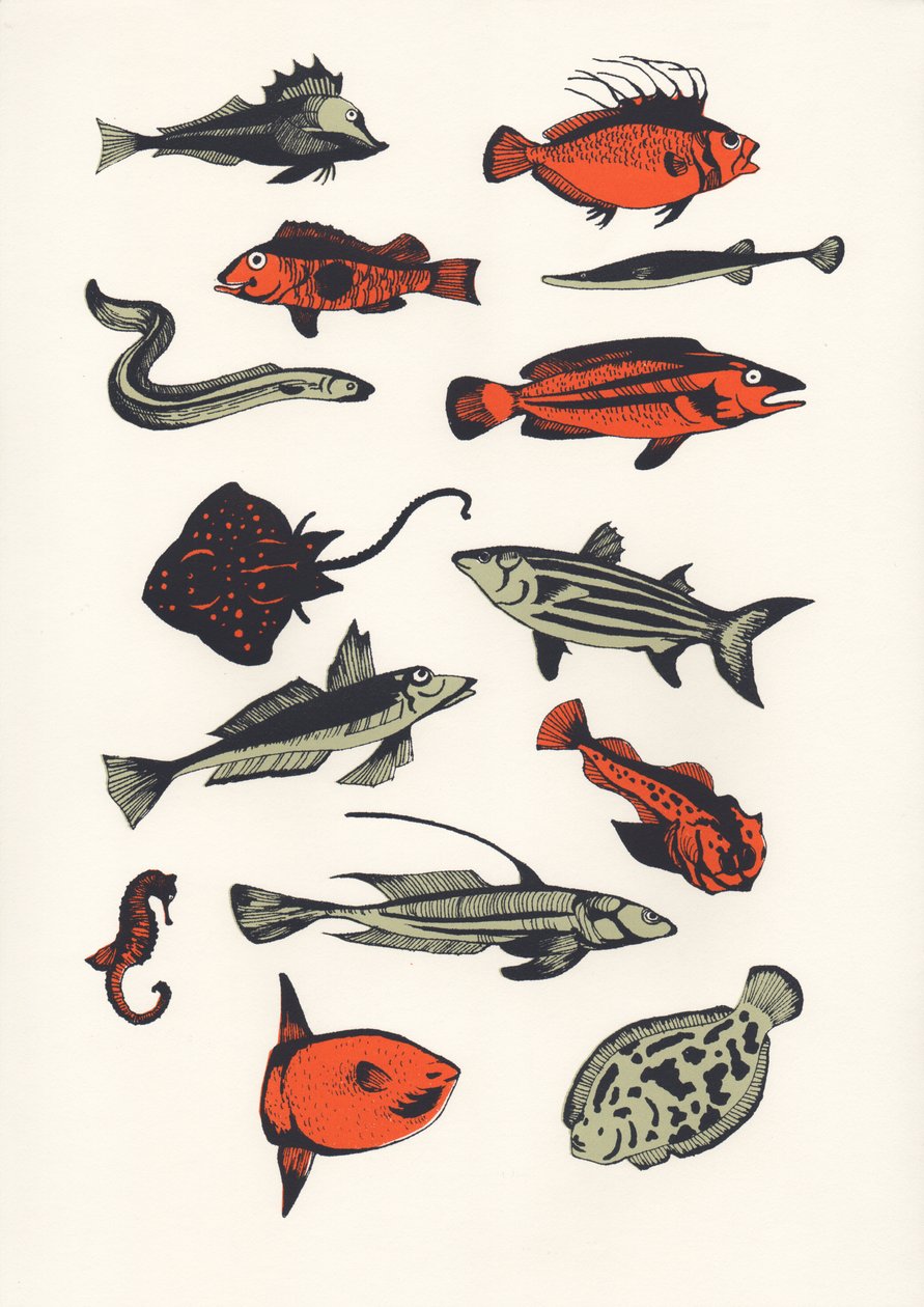 Orange Plain Fish, 2016 (szitanyomat) alkotó: Eliza Southwood