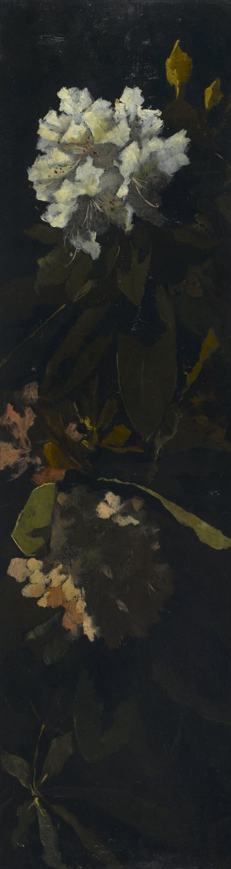 Rododendronok alkotó: Elizabeth Boott Duveneck
