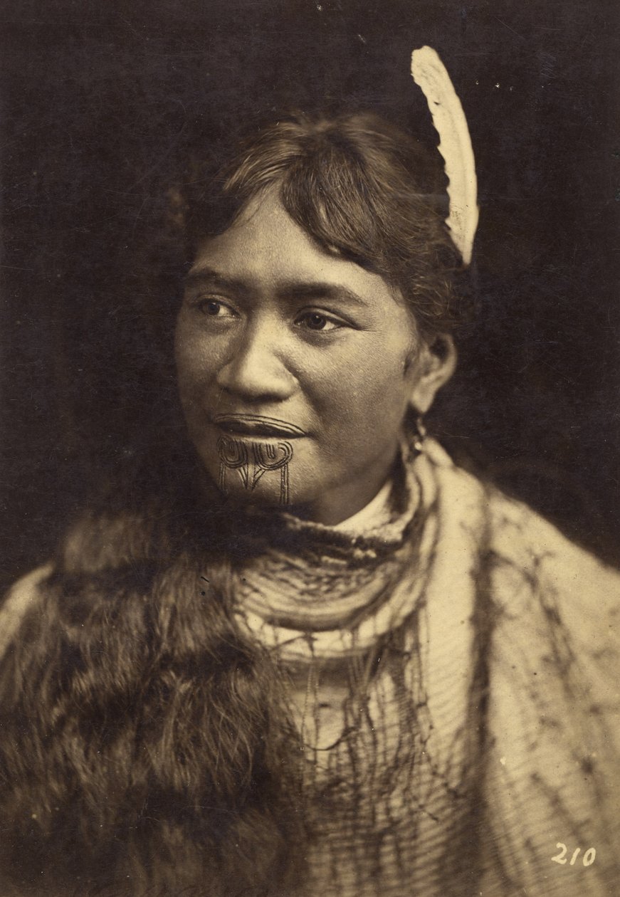 Portré, 1875 körül (albumnyomat) alkotó: Elizabeth Pulman