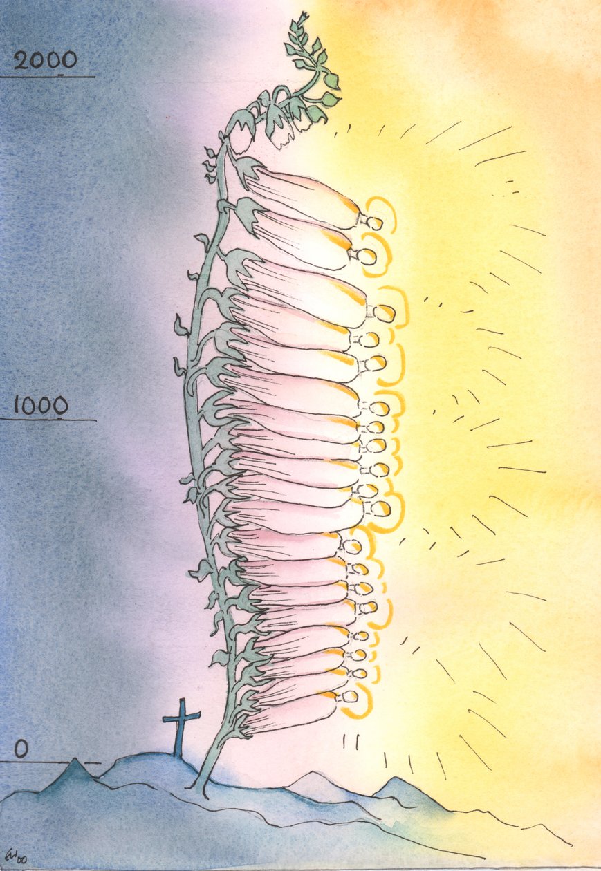 Az egyház a szentség élő hajtásait bocsátja ki virágzásra minden korban, 2003 (papíron) alkotó: Elizabeth Wang