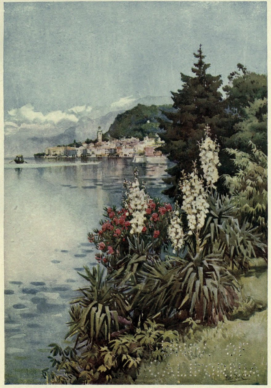 Egy csoport jukkák, Villa Melzi, Lago di Como, Illusztráció: "Az olasz tavak" Richard Bagottól alkotó: Ella Du Cane