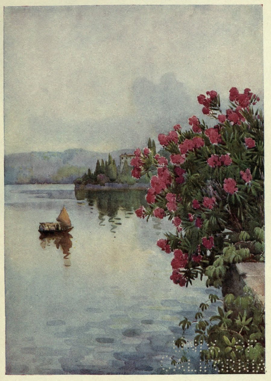 Oleanders, Lago di Como, Illusztráció: "Az olasz tavak", Richard Bagot alkotó: Ella Du Cane
