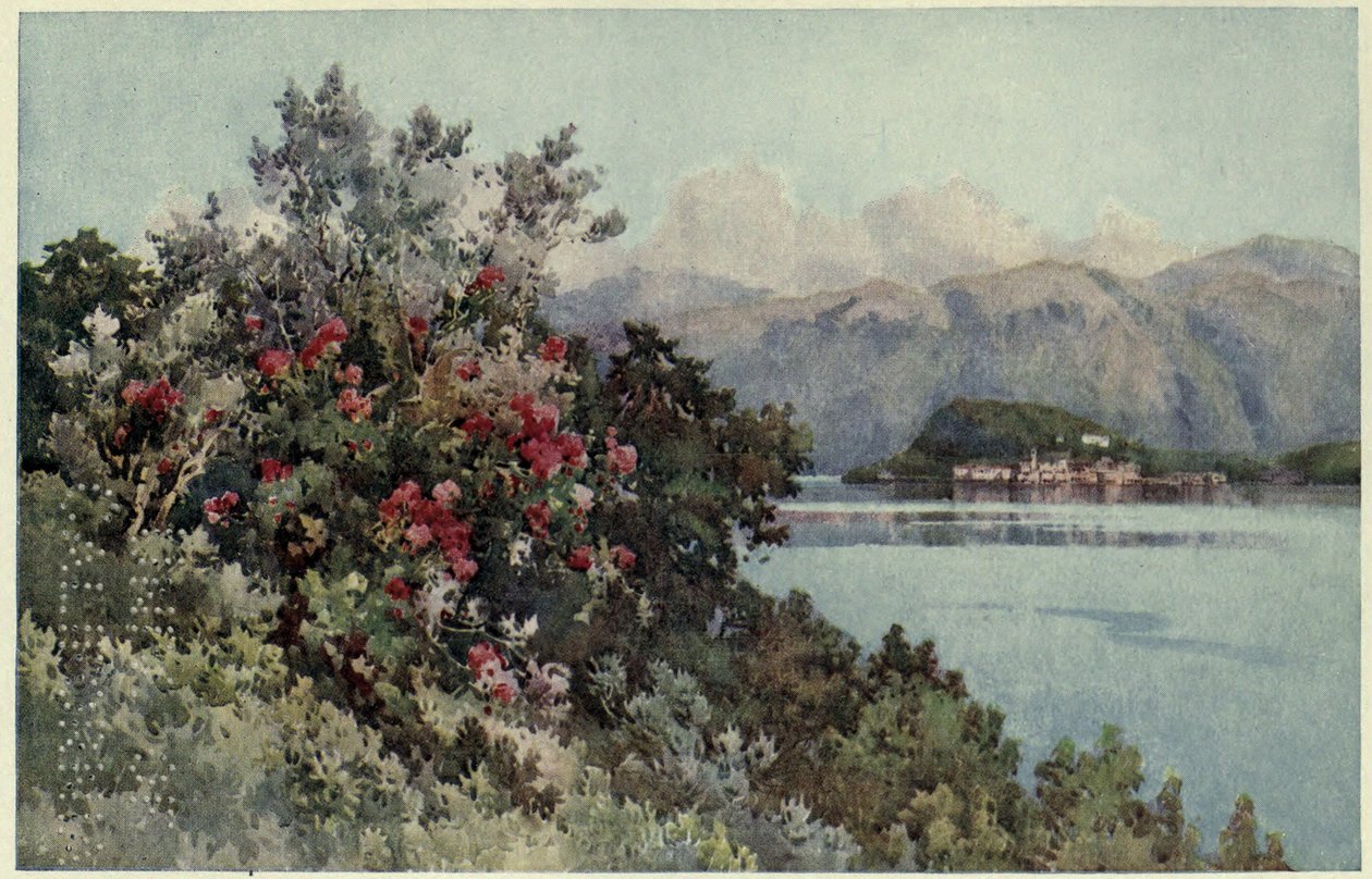 Rózsa, Villa Carlotta, Lago di Como, Illusztráció: "Az olasz tavak", Richard Bagot alkotó: Ella Du Cane