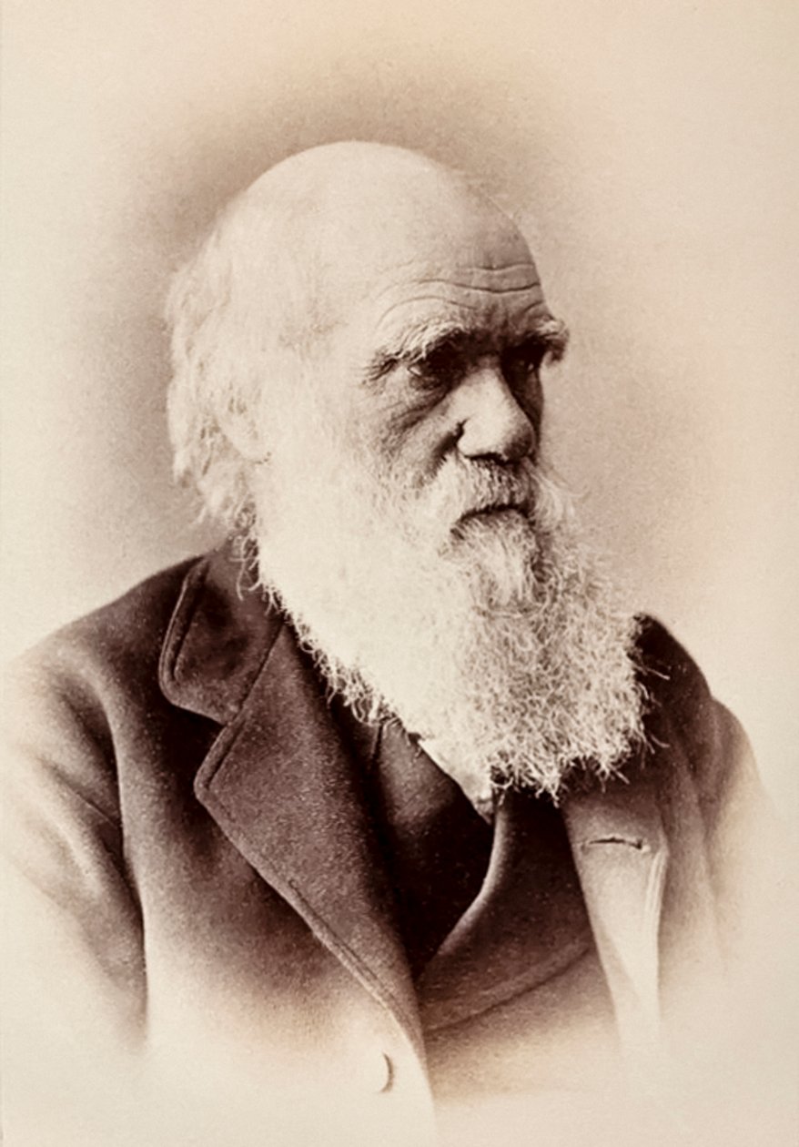 Charles Darwin: angol természettudós alkotó: Elliott und Fry Studio