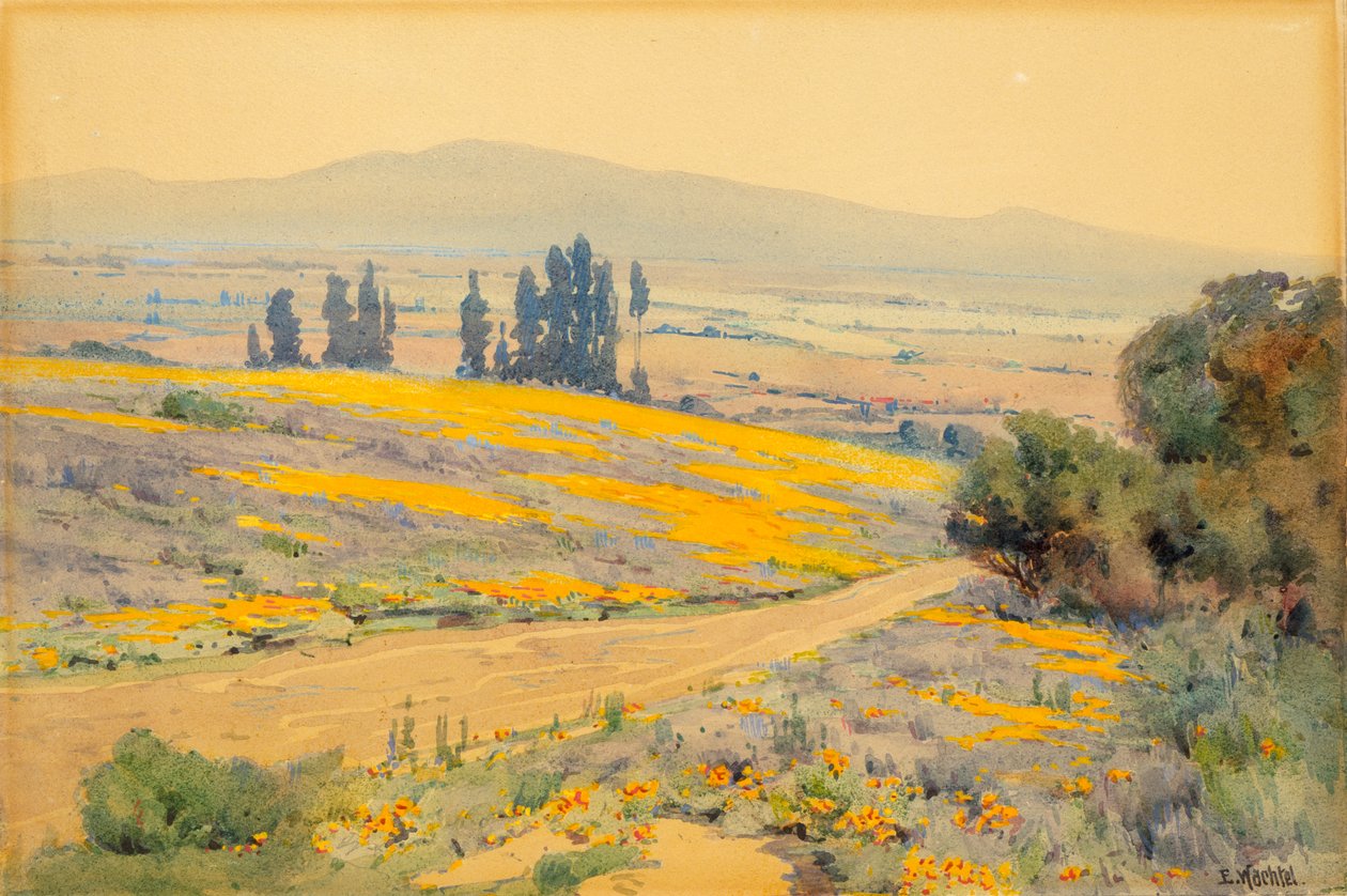 Kaliforniai tavaszi táj, kb. 1920. alkotó: Elmer Wachtel