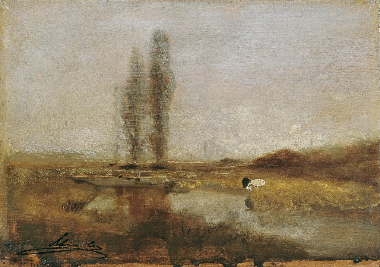 Moorland Lundenburg közelében alkotó: Emil Jakob Schindler