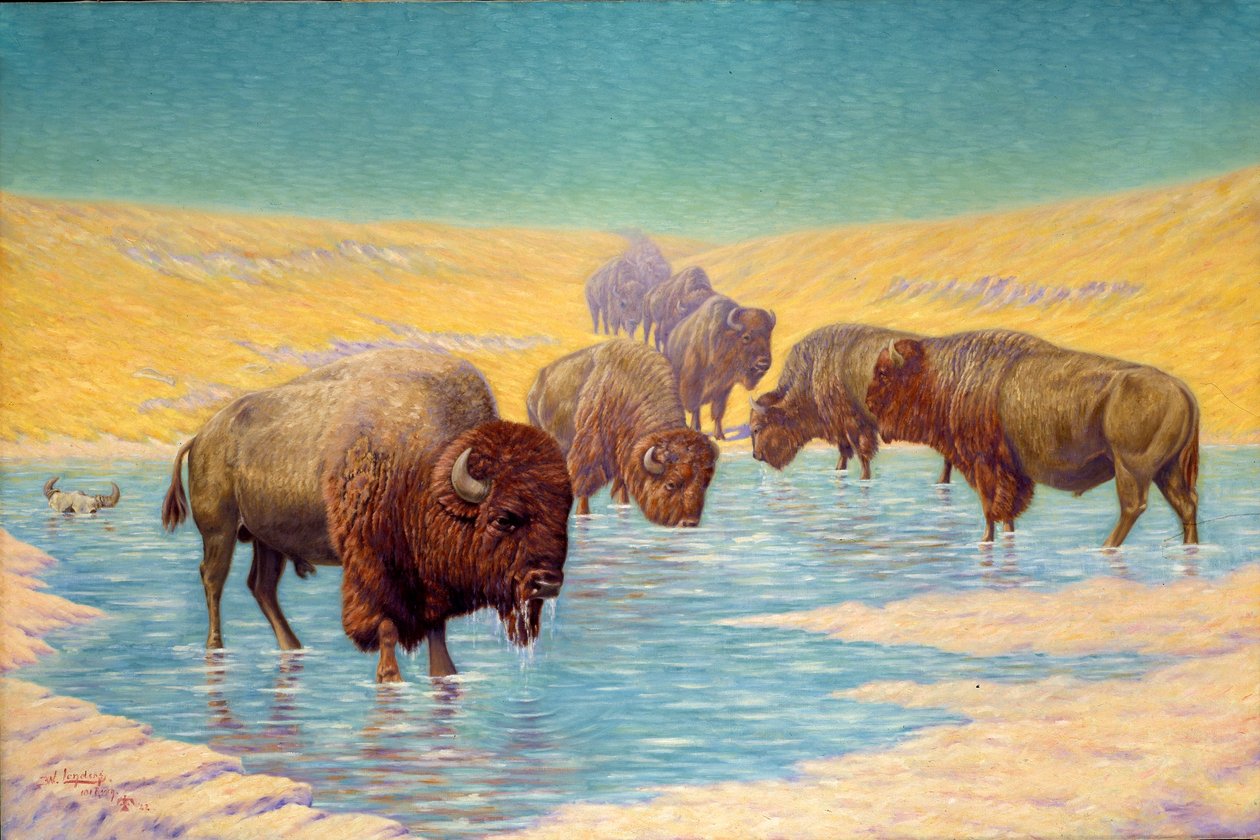 Buffalo Scene alkotó: Emil W. Lenders