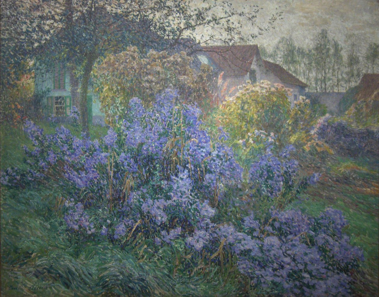  Az astersnHolland: Az astersn alkotó: Emile Claus