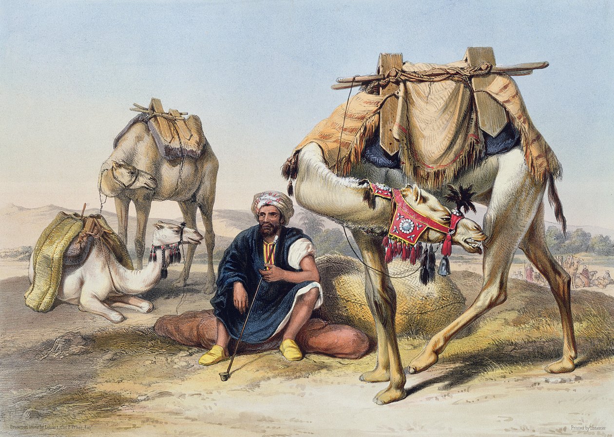 A Sherkiyehben pihenő tevék, Gosen földje, illusztráció a Nílus völgyéből, Lehnert metszet, kocsma. Lemercier, 1848 alkotó: Emile Prisse d