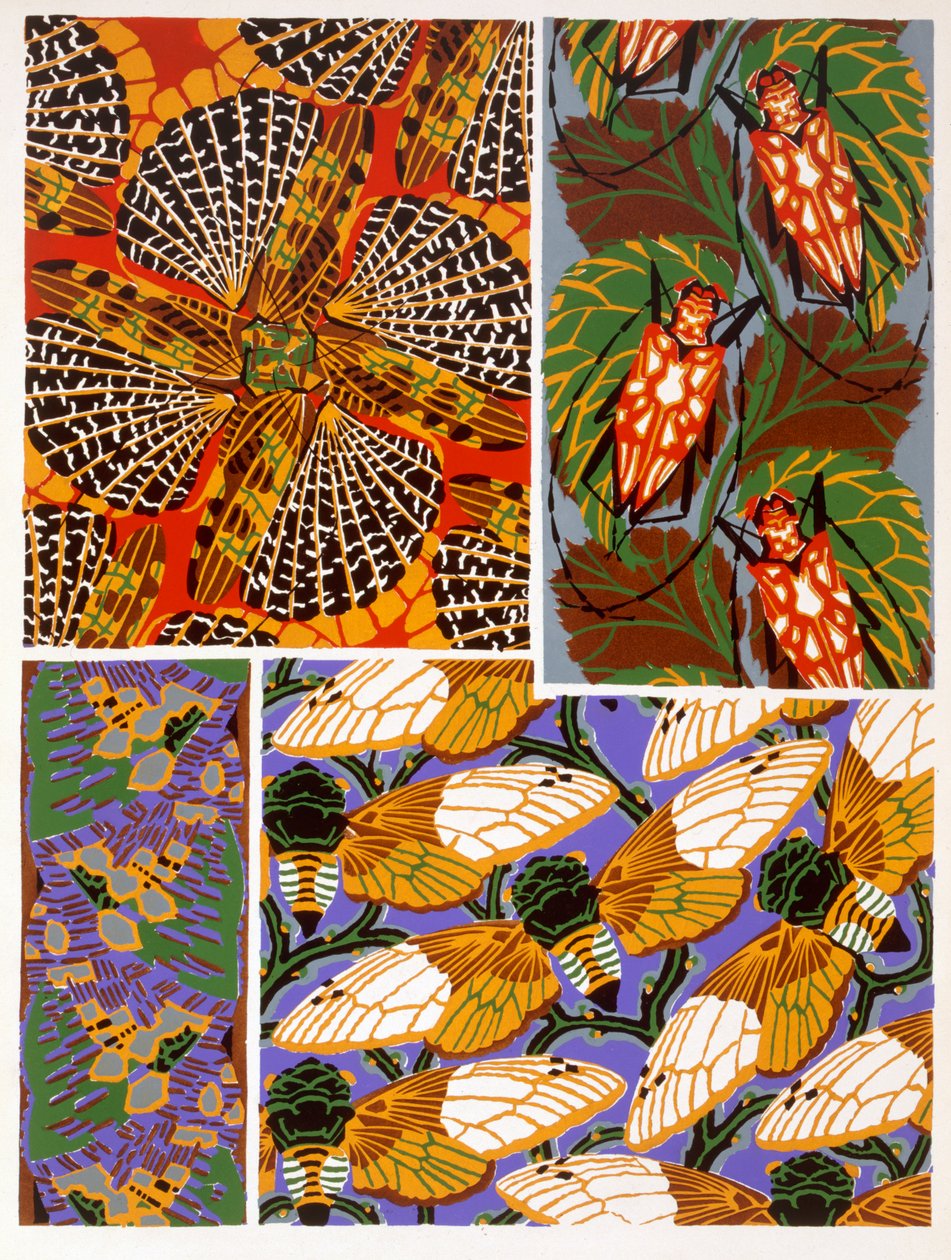 Rovar motívumú design alkotó: Émile Allain Séguy