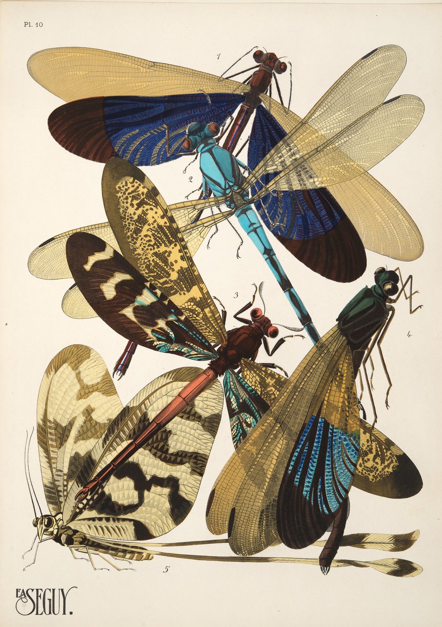 10. tábla Rovarok, kocsma. 1930-as évek (pochoir print) alkotó: Émile Allain Séguy