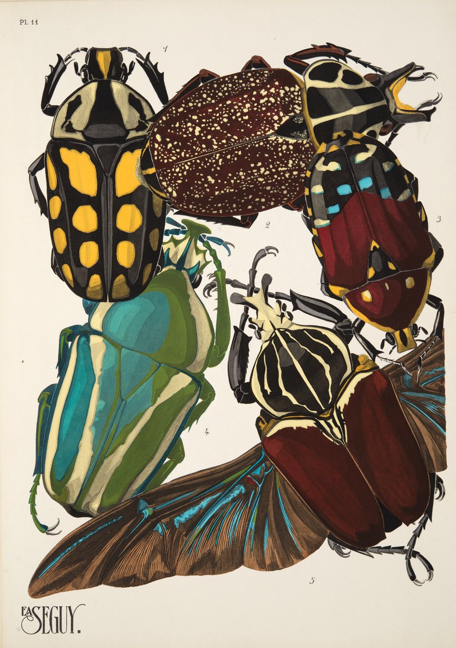 11. tábla Rovarok, kocsma. 1930-as évek (pochoir print) alkotó: Émile Allain Séguy