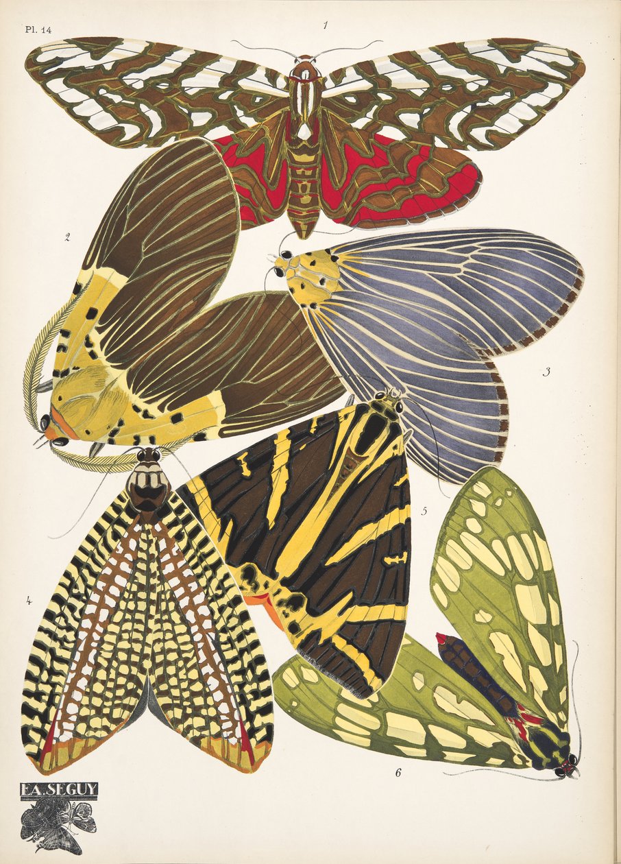 14. tábla, Butterflies, kocsma. 1925 (sablonnyomat) alkotó: Émile Allain Séguy