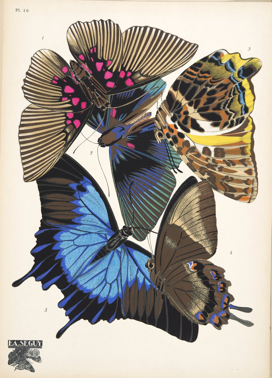 16. tábla, Butterflies, kocsma. 1925 (sablonnyomat) alkotó: Émile Allain Séguy