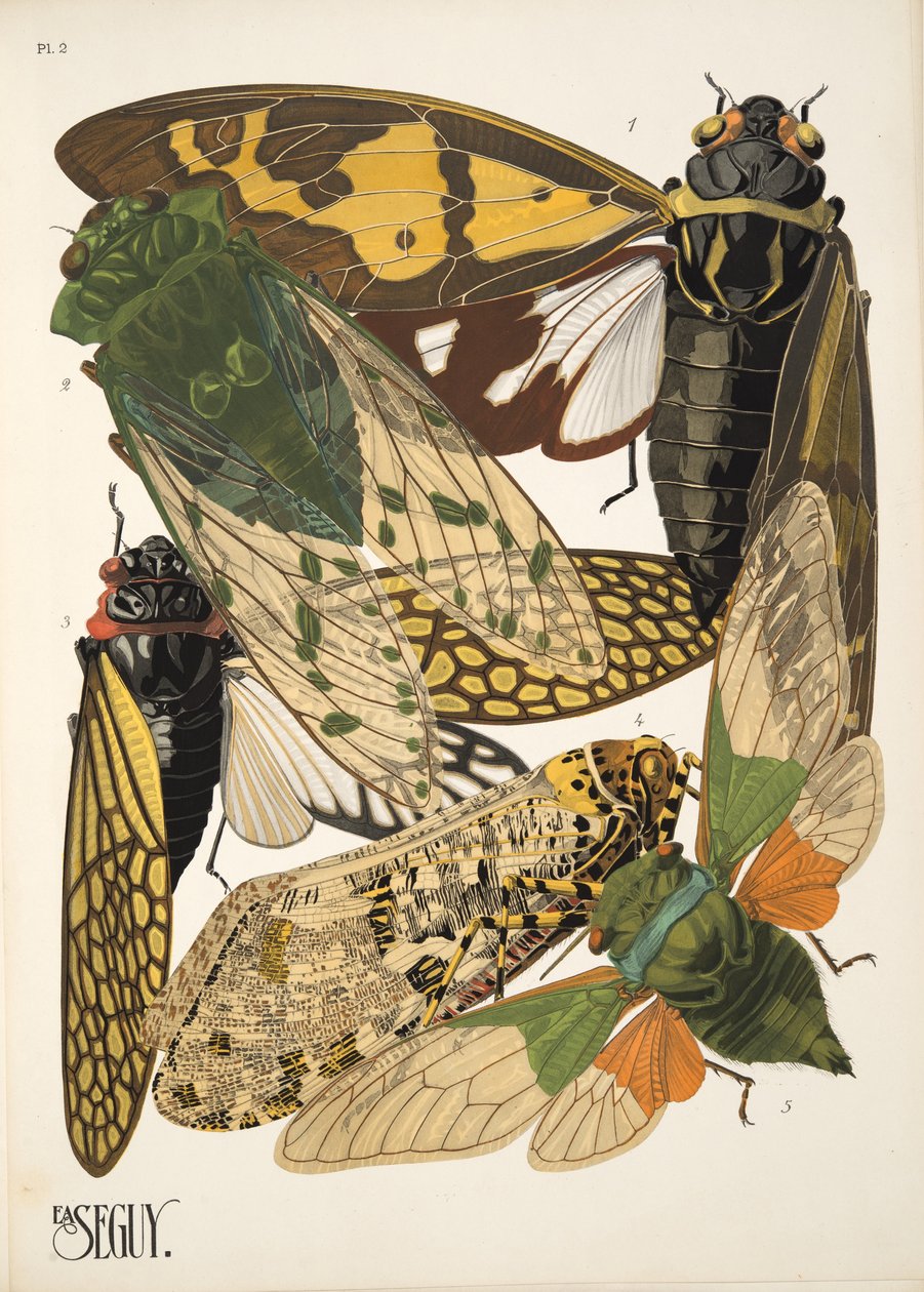2. tábla az Insectes-től, kocsma. 1930-as évek (pochoir print) alkotó: Émile Allain Séguy