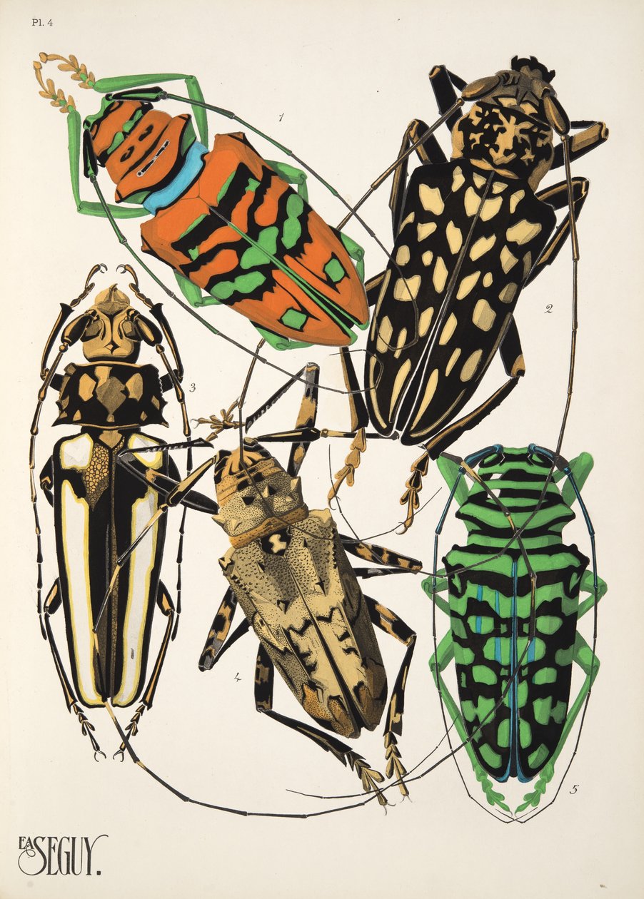 4. tábla az Insectes-től, kocsma. 1930-as évek (pochoir print) alkotó: Émile Allain Séguy