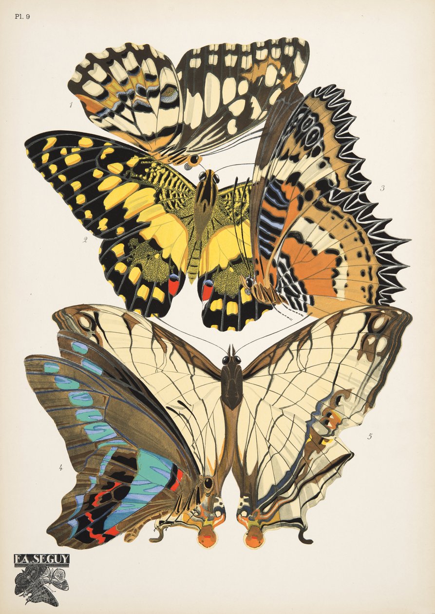 9. tábla, Butterflies, kocsma. 1925 (sablonnyomat) alkotó: Émile Allain Séguy