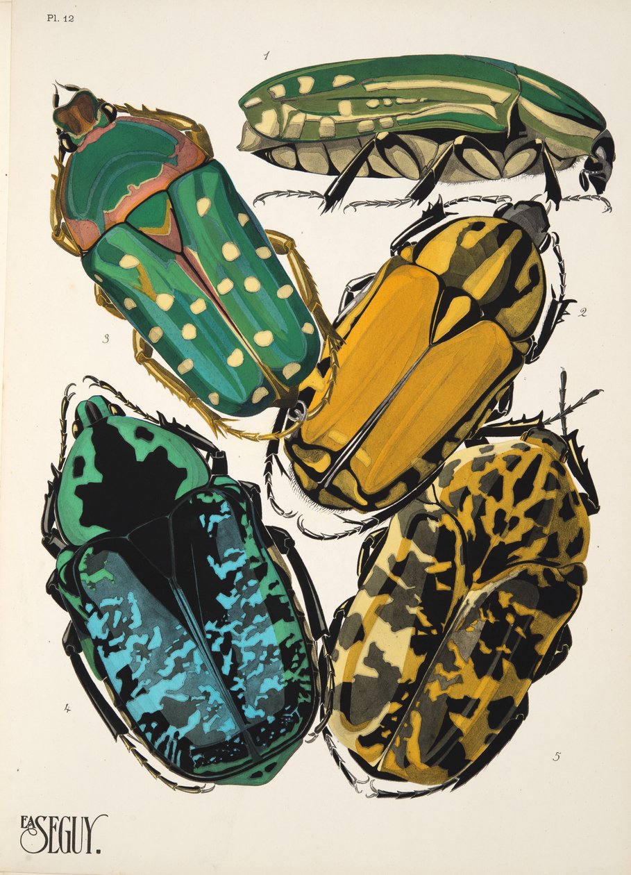 12. tábla Rovarok, kocsma. 1930-as évek (pochoir print) alkotó: Émile Allain Séguy