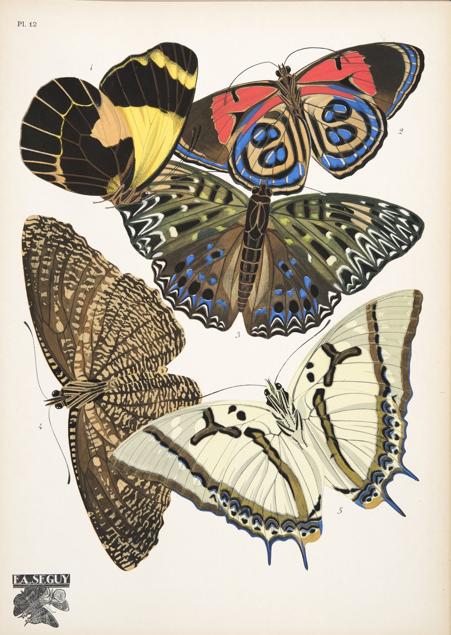 12. tábla, Butterflies, kocsma. 1925 (sablonnyomat) alkotó: Émile Allain Séguy