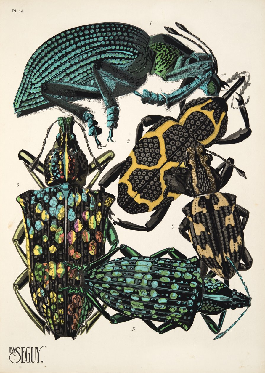 14. tábla Rovarok, kocsma. 1930-as évek (pochoir print) alkotó: Émile Allain Séguy
