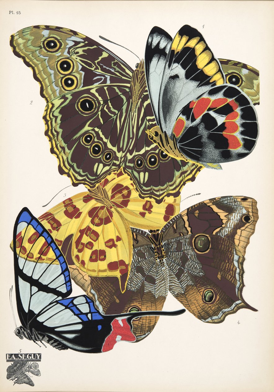 15. tábla, Butterflies, kocsma. 1925 (sablonnyomat) alkotó: Émile Allain Séguy
