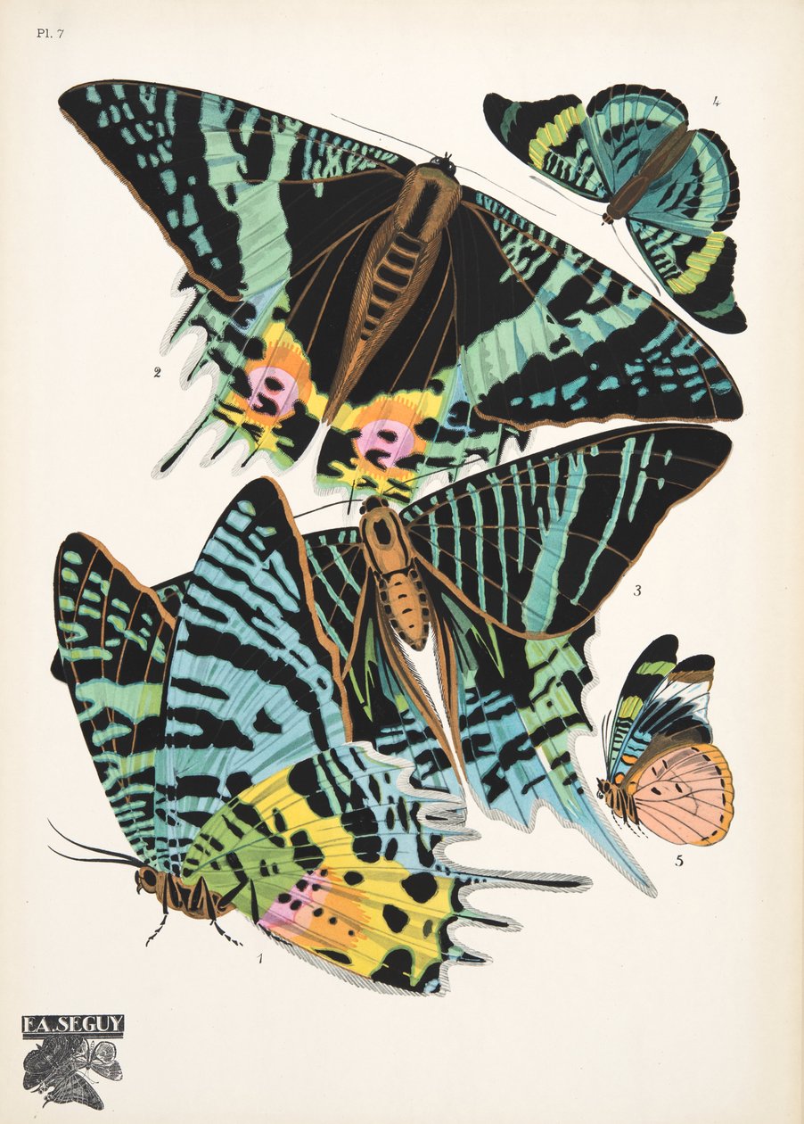 7. tábla, Butterflies, kocsma. 1925 (sablonnyomat) alkotó: Émile Allain Séguy
