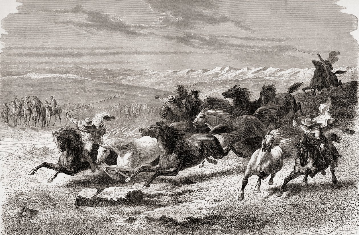 Argentín gauchók vadlovakat gyűjtögetve, illusztráció a „The World in the Hands” című művéből, Charles Laplante (†1903) metszetében, 1878-ban megjelent alkotó: Emile Antoine Bayard