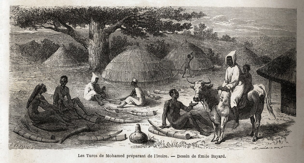 Elefántcsont készítése egy török kereskedő számára, Ugandában, Emile Bayard (1837-1891) rajza, amely Speke kapitány afrikai felfedezőútját mutatja be 1860 és 1863 között. Metszet a „Le tour du monde”-ban, szerkesztette Edouard Charton alkotó: Emile Antoine Bayard