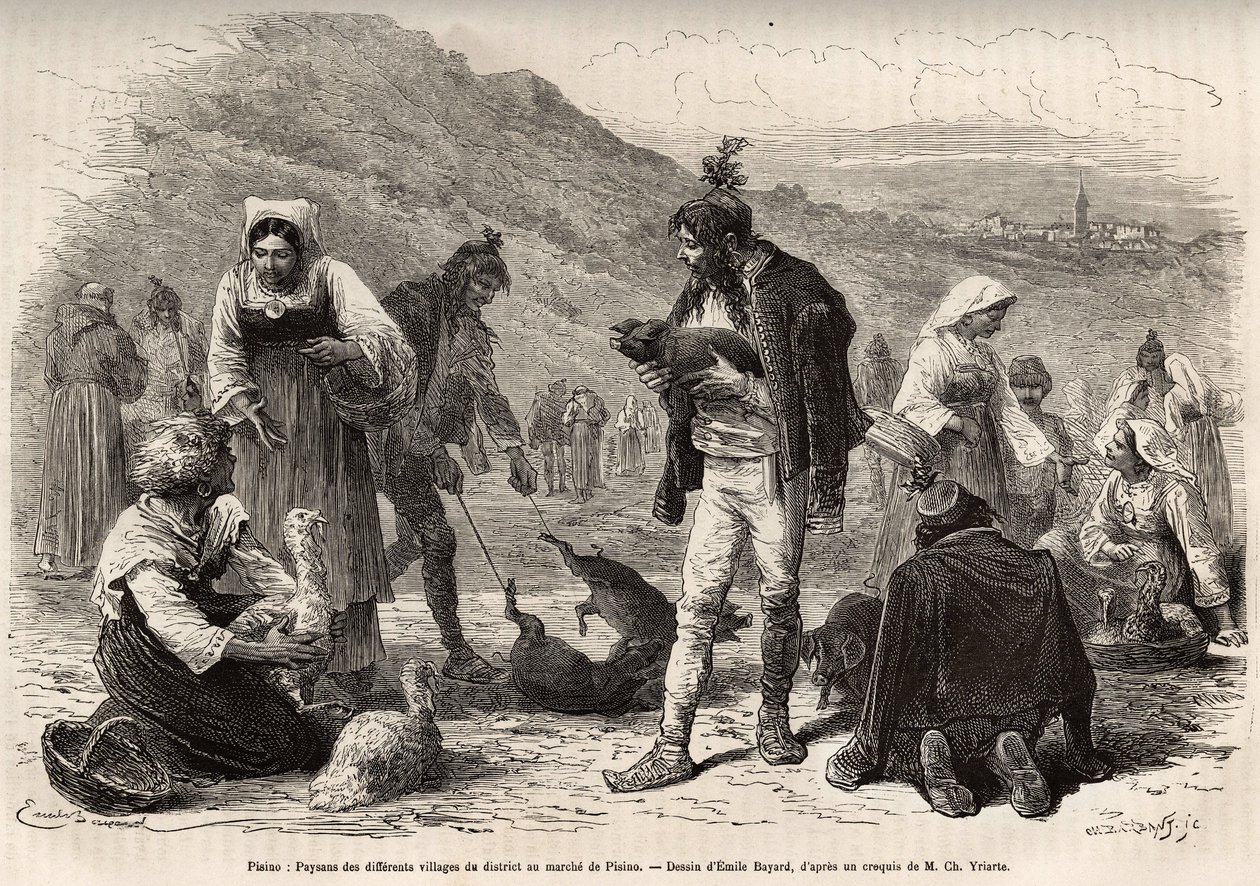 Pisino (Horvátország) környéki parasztok összegyűlnek, hogy a piacon árusítsák mezőgazdasági termékeiket: baromfit, malacot..., Emile Bayard 1874-es isztriai és dalmáciai utazását illusztráló rajza nyomán, Charles tollából. Yriarte, tedd közzé alkotó: Emile Antoine Bayard