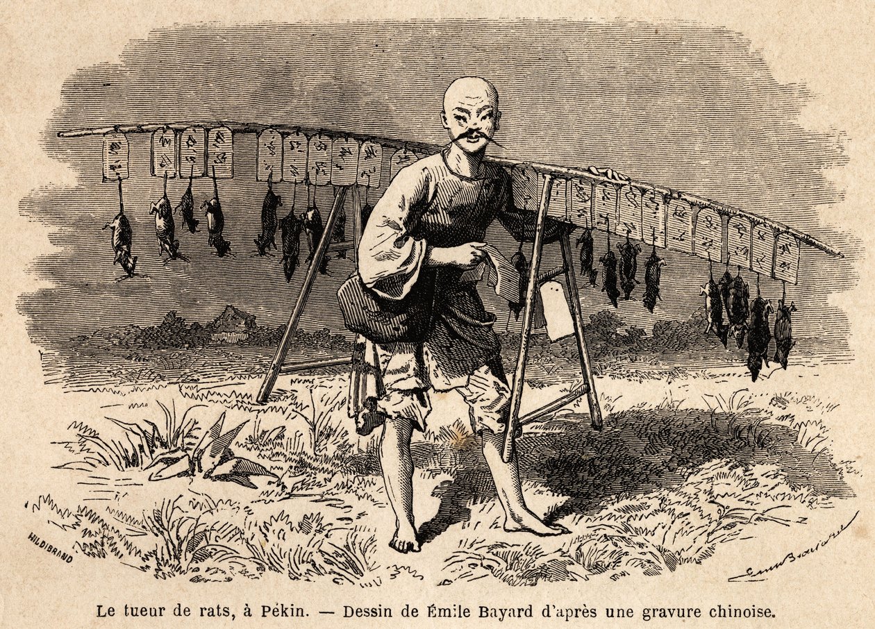 A patkánygyilkos Pekinben. Emile Bayard (1837-1891) rajza Sanghajból Moszkvába 1859-től 1862-ig, M. de Bourboulon, Franciaország kínai minisztere által. Gravírozás a „Le tour du monde”-ban, szerkesztette Edouard Charton alkotó: Emile Antoine Bayard