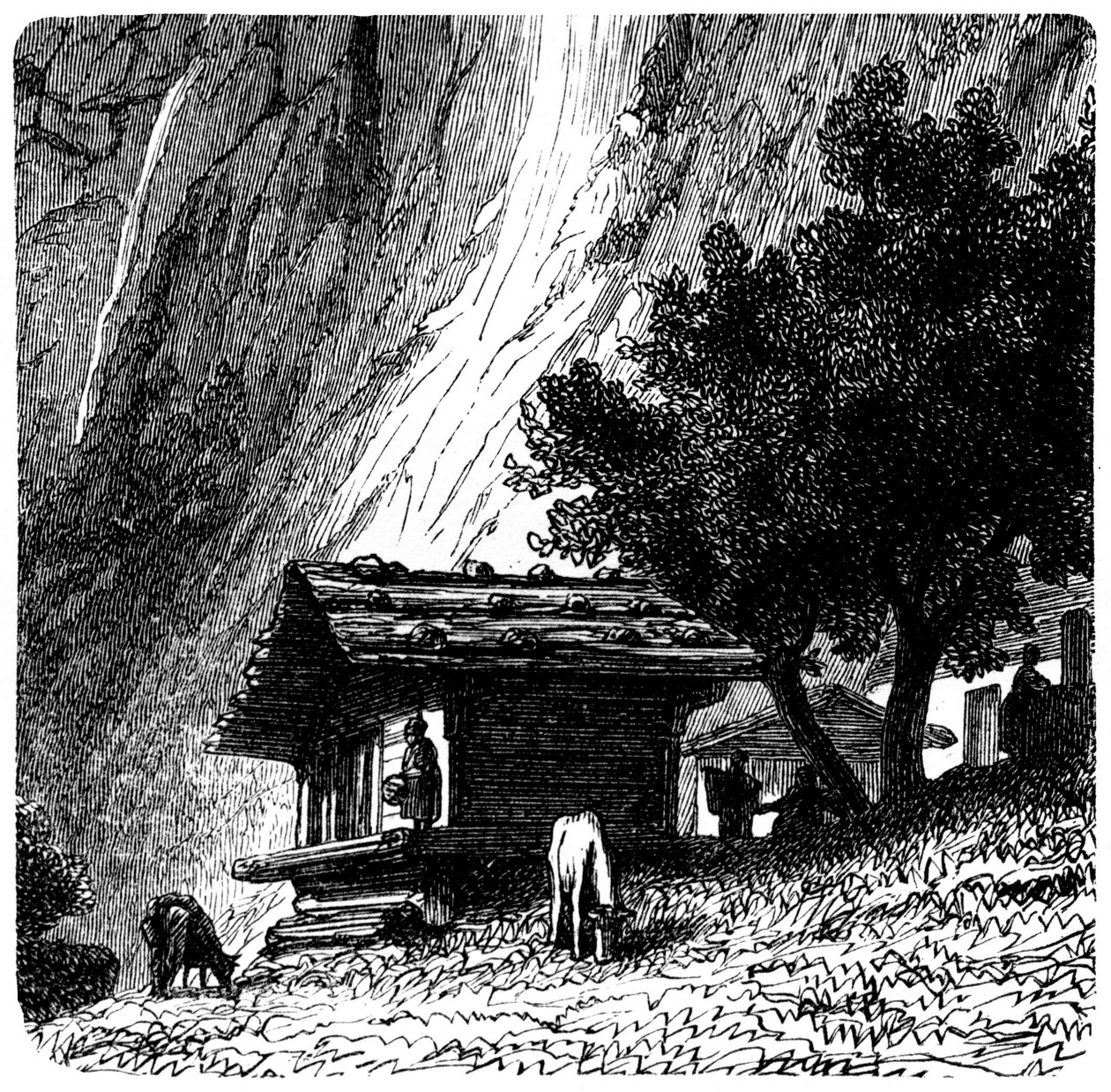 Kilátás az Alpokra: régi faház egy szikla lábánál tehenekkel legelővel (legelő). Illusztráció: Emile Bayard (részlet) a Les Montagnes d