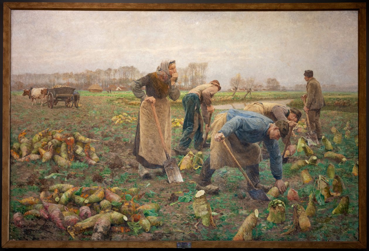 Répa betakarítás alkotó: Emile Claus